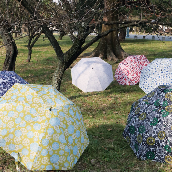 【日本京都黑竹總店HareMoyo輕量雨傘】
