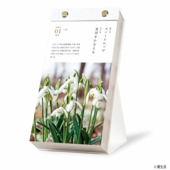 曆生活︱誕生花座枱日曆2024