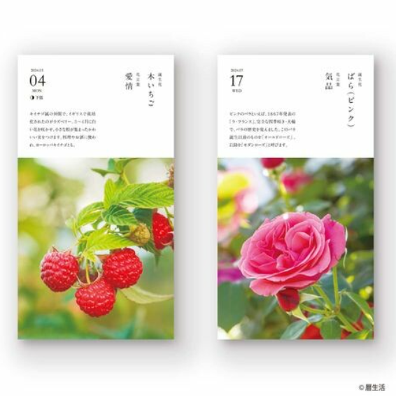 曆生活︱誕生花座枱日曆2024