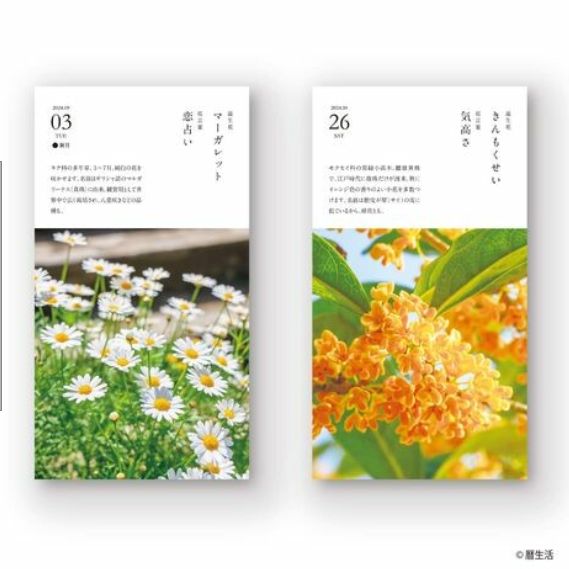 曆生活︱誕生花座枱日曆2024